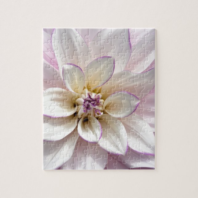 White and purple dahlia flower jigsaw puzzle (Vertical)