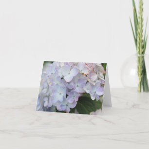 White and Purple HYDRANGEA Bloom Holiday Card