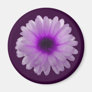 White and Purple Marigold Magnet