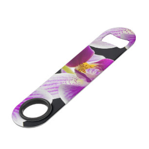 White and purple orchid