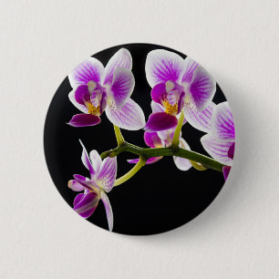 White and purple orchid 6 cm round badge