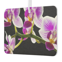 White and purple orchid car air freshener