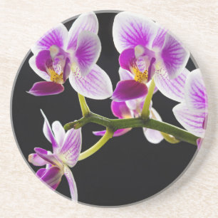 White and purple orchid coaster