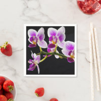 White and purple orchid