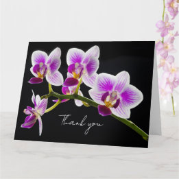 White and Purple Orchid Thank You Card