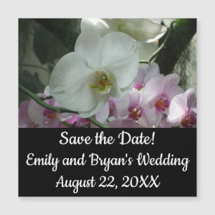 White and Purple Orchids