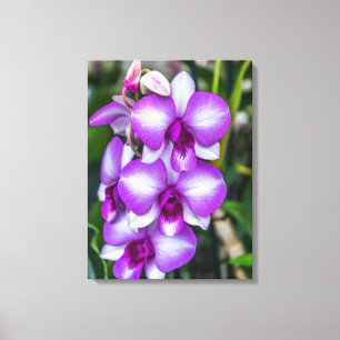 White and purple orchids canvas print