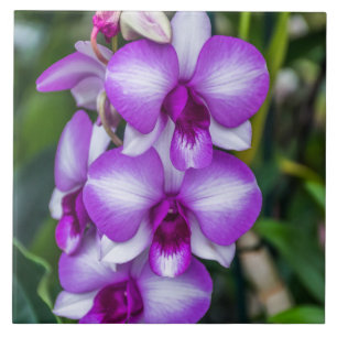 White and purple orchids ceramic tile