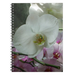 White and Purple Orchids Notebook