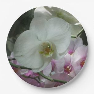 White and Purple Orchids Paper Plate
