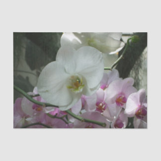 White and Purple Orchids Tissue Paper