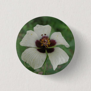 White and Purple Passionflower Button