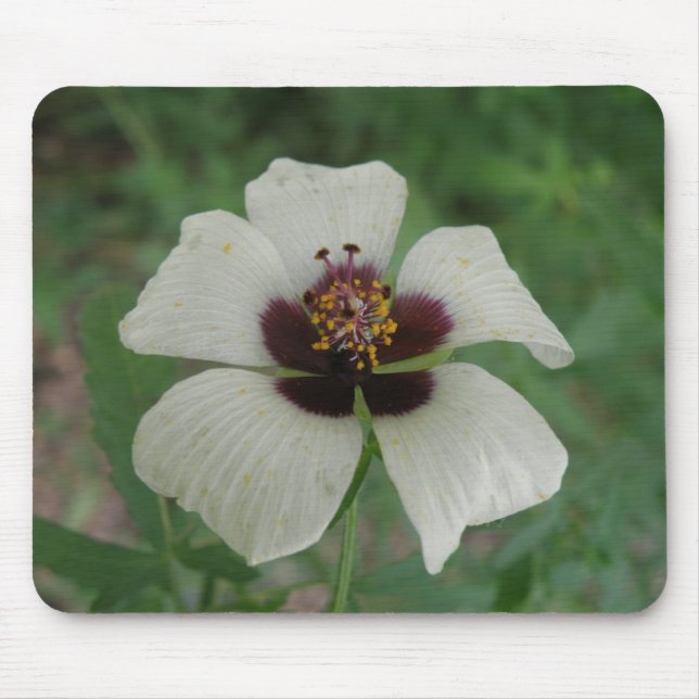 White and Purple Passionflower Mousepad (Front)