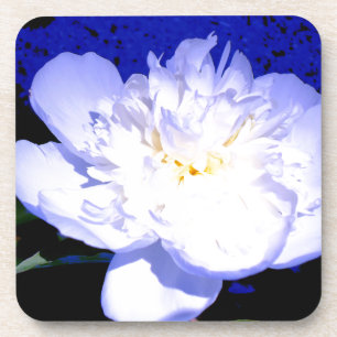 White and purple peony photo coaster