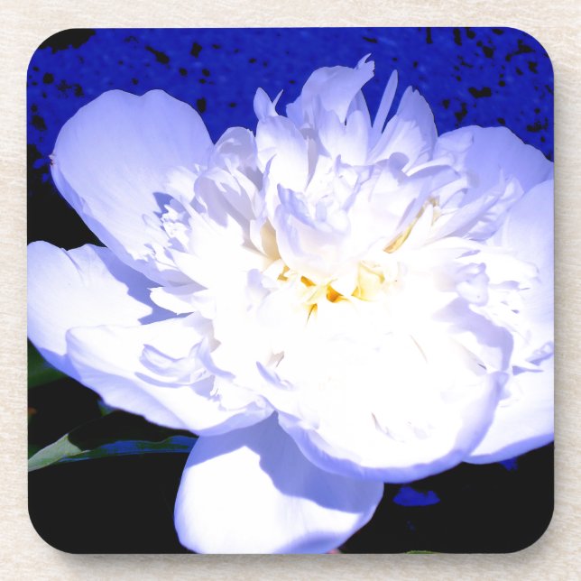 White and purple peony photo coaster (Front)