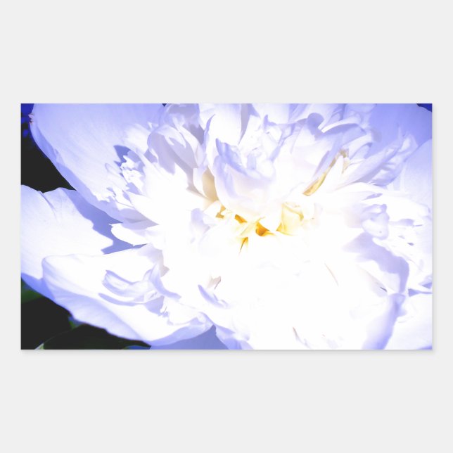 White and purple Peony photo Rectangular Sticker (Front)