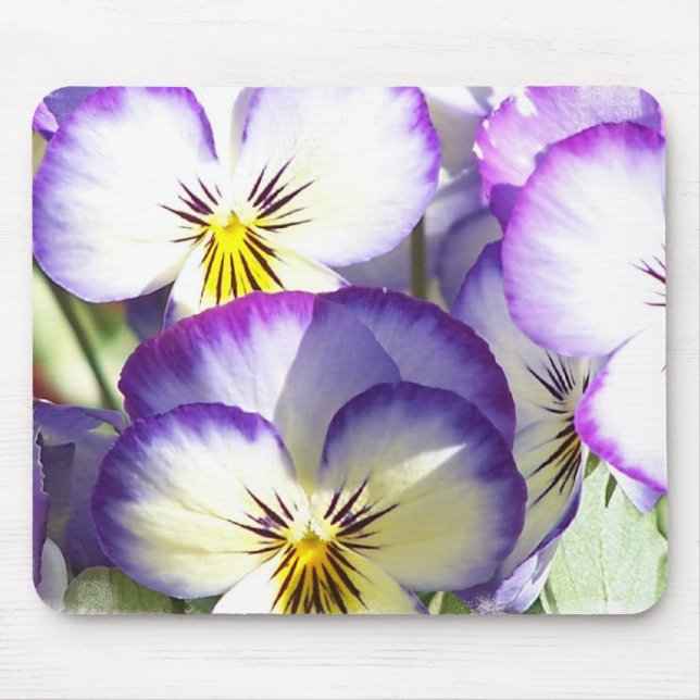 White and Purple Violas Mouse Pads (Front)