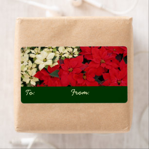 White and Red Poinsettias I Holiday Floral