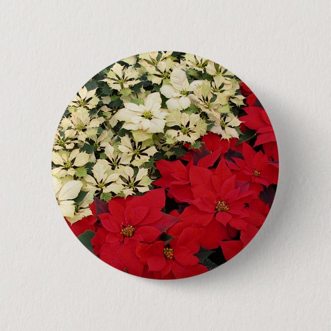 White and Red Poinsettias I Holiday Floral 6 Cm Round Badge (Front)