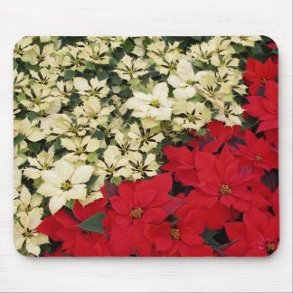 White and Red Poinsettias I Holiday Floral Mouse Pad
