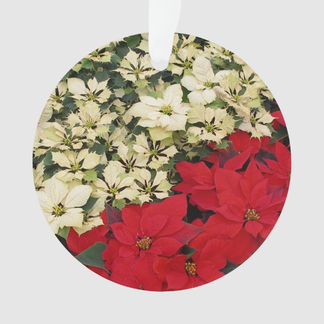White and Red Poinsettias I Holiday Floral Ornament (Front)