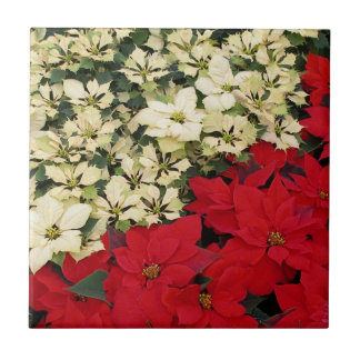 White and Red Poinsettias I Holiday Floral Tile