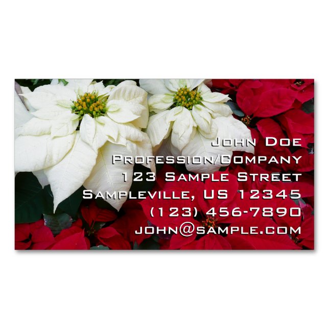 White and Red Poinsettias II Christmas Holiday Magnetic Business Card (Front)
