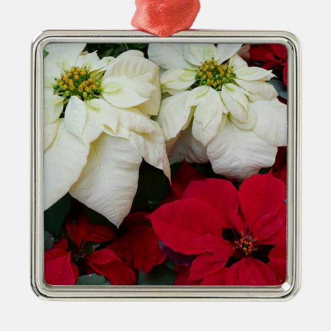 White and Red Poinsettias II Christmas Holiday Metal Tree Decoration (Front)
