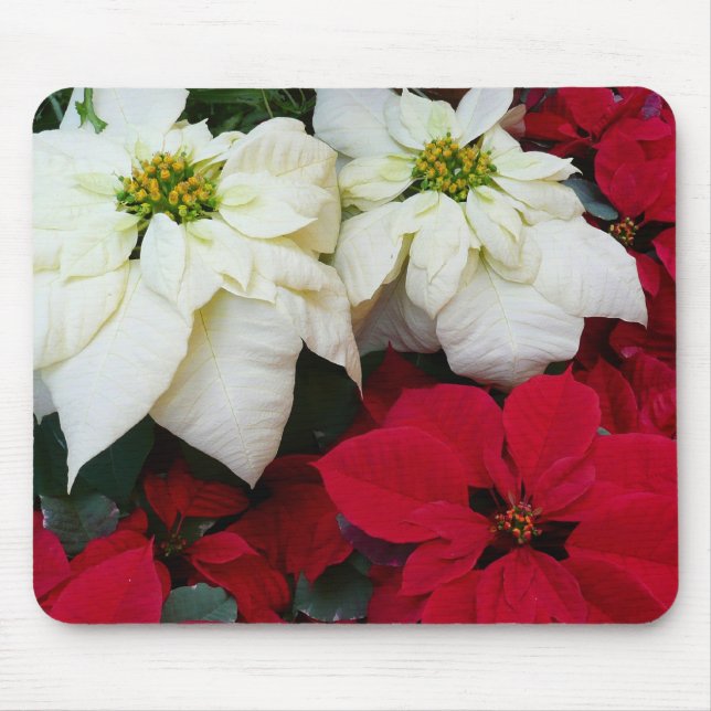 White and Red Poinsettias II Christmas Holiday Mouse Pad (Front)