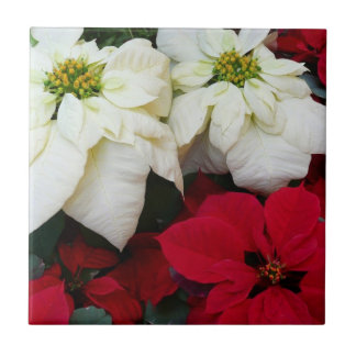 White and Red Poinsettias II Christmas Holiday Tile