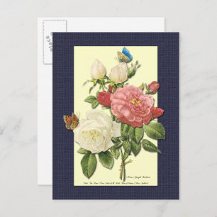 White and Red Roses Botanical Postcard