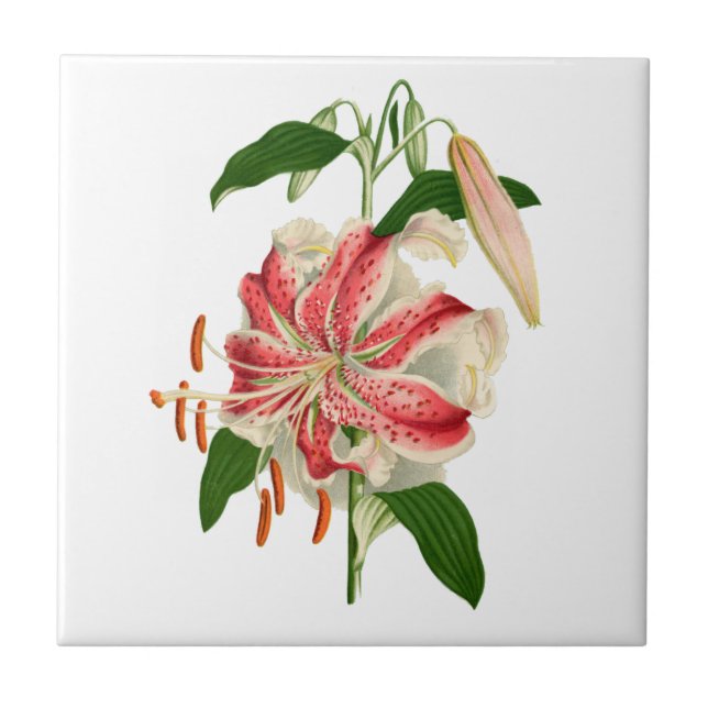 White and Red Tiger Lily with Buds N' Greenery Tile (Front)