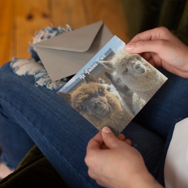 White and Reddish Brown Curly Haired Alpaca Couple Card (Creator Uploaded)
