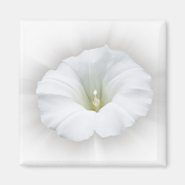 white and shades of grey magnet (Front)