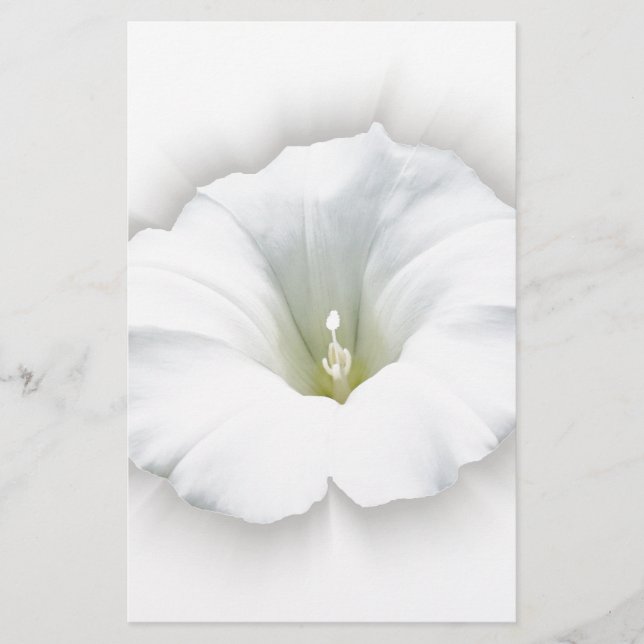 white and shades of grey stationery (Front)