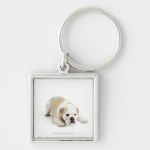White and tan bulldog key ring