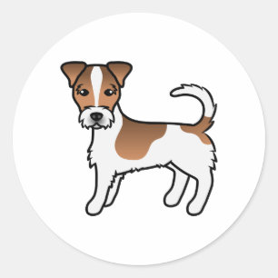 White And Tan Rough Coat Jack Russell Terrier Dog Classic Round Sticker