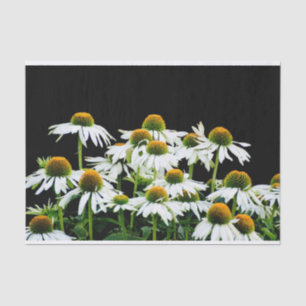 White and Yellow Daisies on Black Tissue Paper