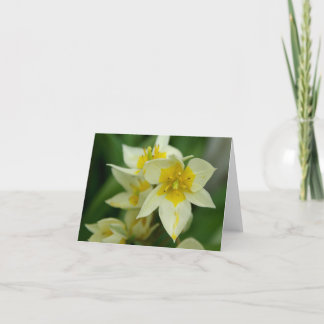 White and Yellow Flower Notecard