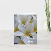 White and Yellow Flowers Thank You