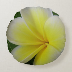 White And Yellow Frangipani Flower Round Cushion