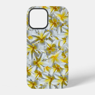 White And Yellow Frangipani Flowers, iPhone 12 Case