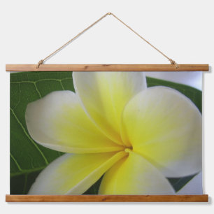 White And Yellow Frangipani Hanging Tapestry