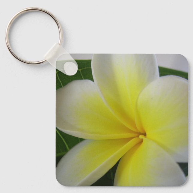 White And Yellow Frangipani Key Ring (Front)