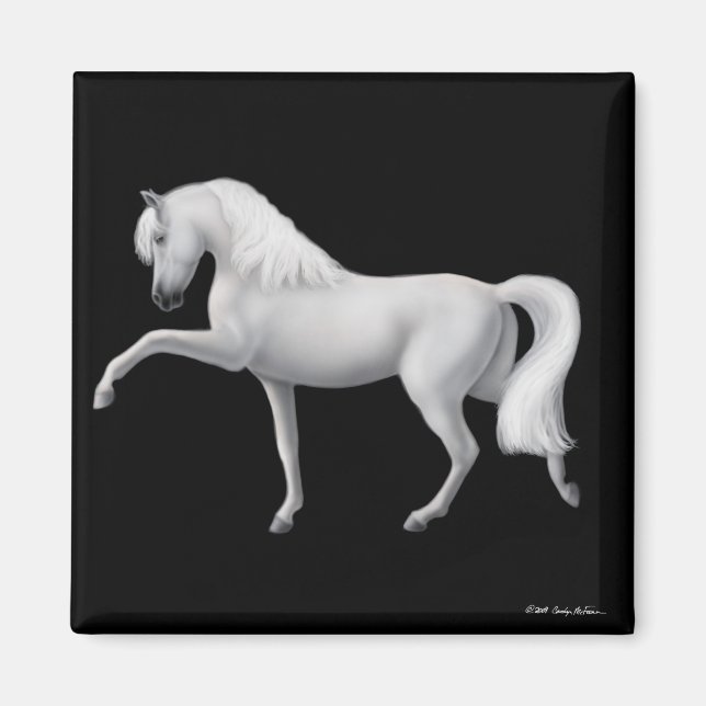 White Andalusian Horse Magnet (Front)