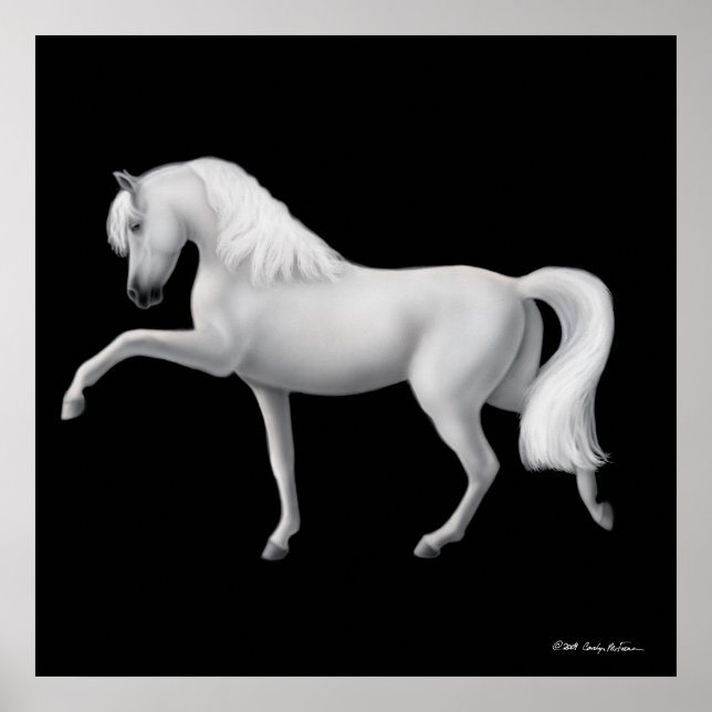 White Andalusian Horse Print (Front)