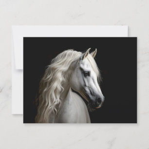 White Andalusian Stallion Postcard