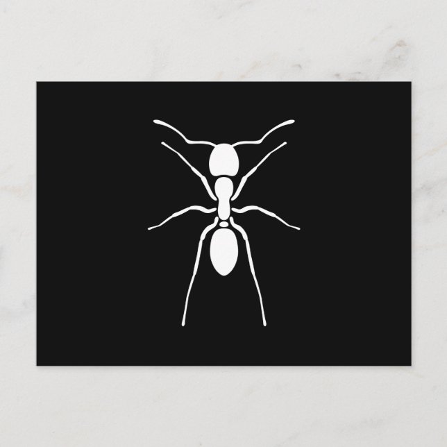 White Ant Silhouette Custom Postcard (Front)
