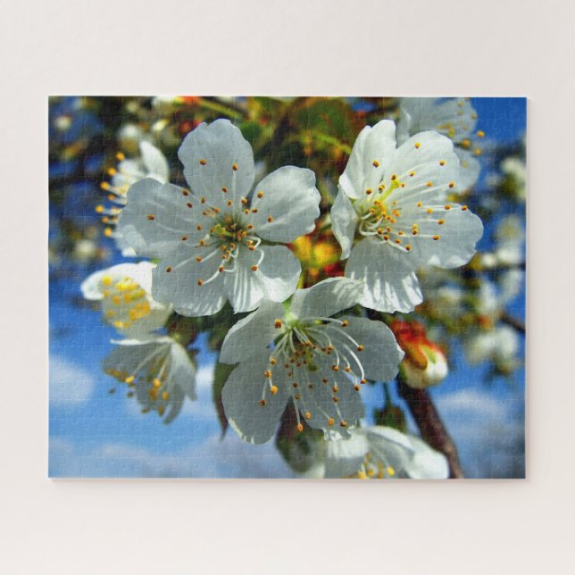 White apple blossom flowers jigsaw puzzle (Horizontal)