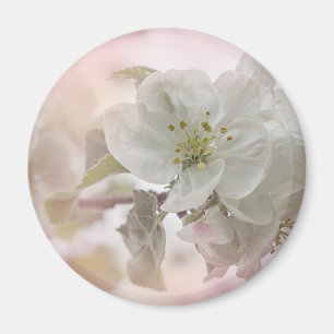 White Apple Blossom Photograph Magnet